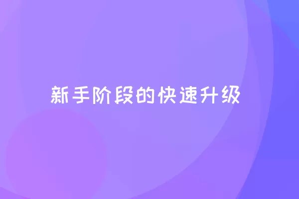 新手阶段的快速升级