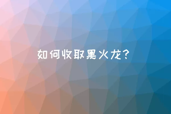 如何收取黑火龙？