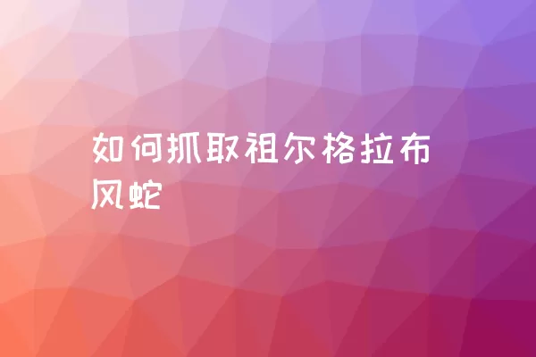 如何抓取祖尔格拉布风蛇