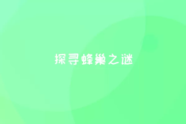  探寻蜂巢之谜